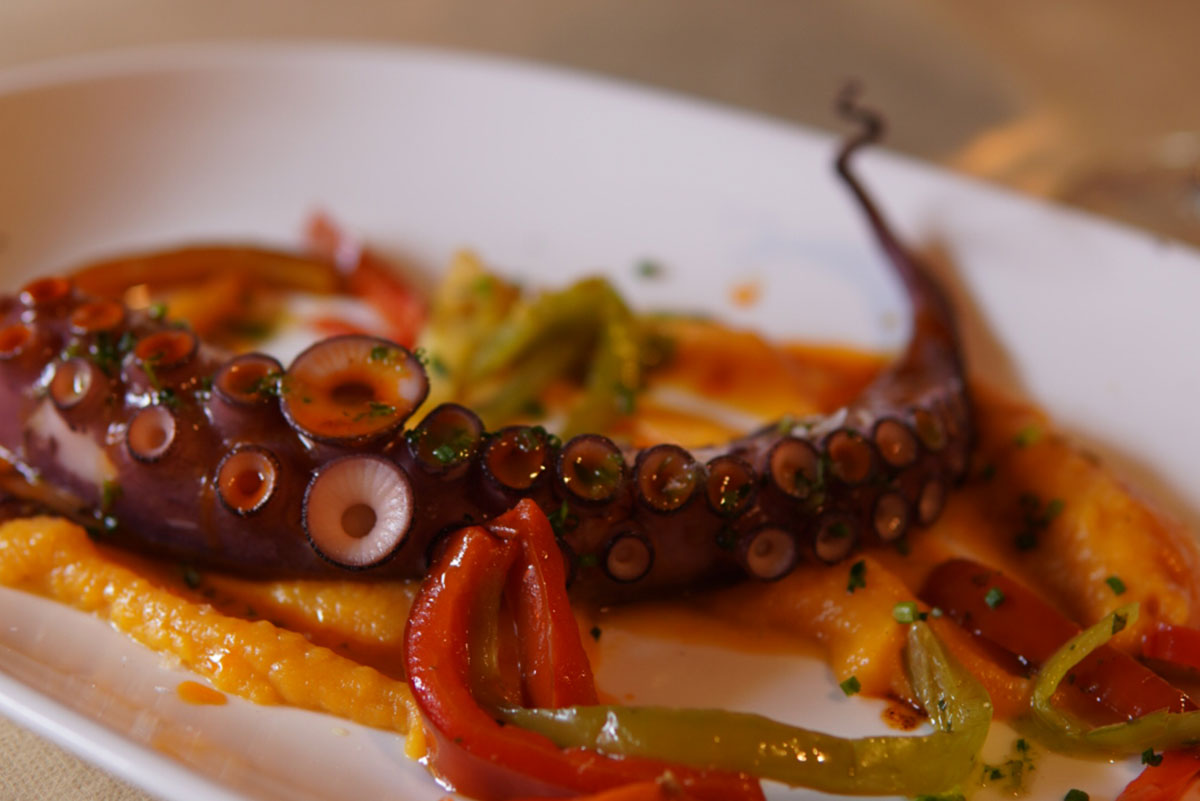 Restaurant masia Can Sous pop a la brasa