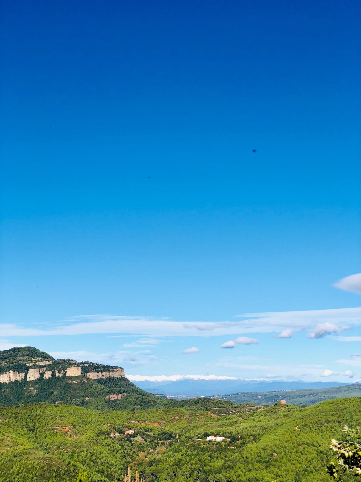 vistes-des-de-puiggracios-3
